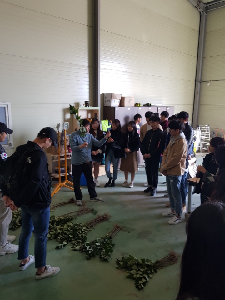 키낮은 사과묘목 견학 (경산)