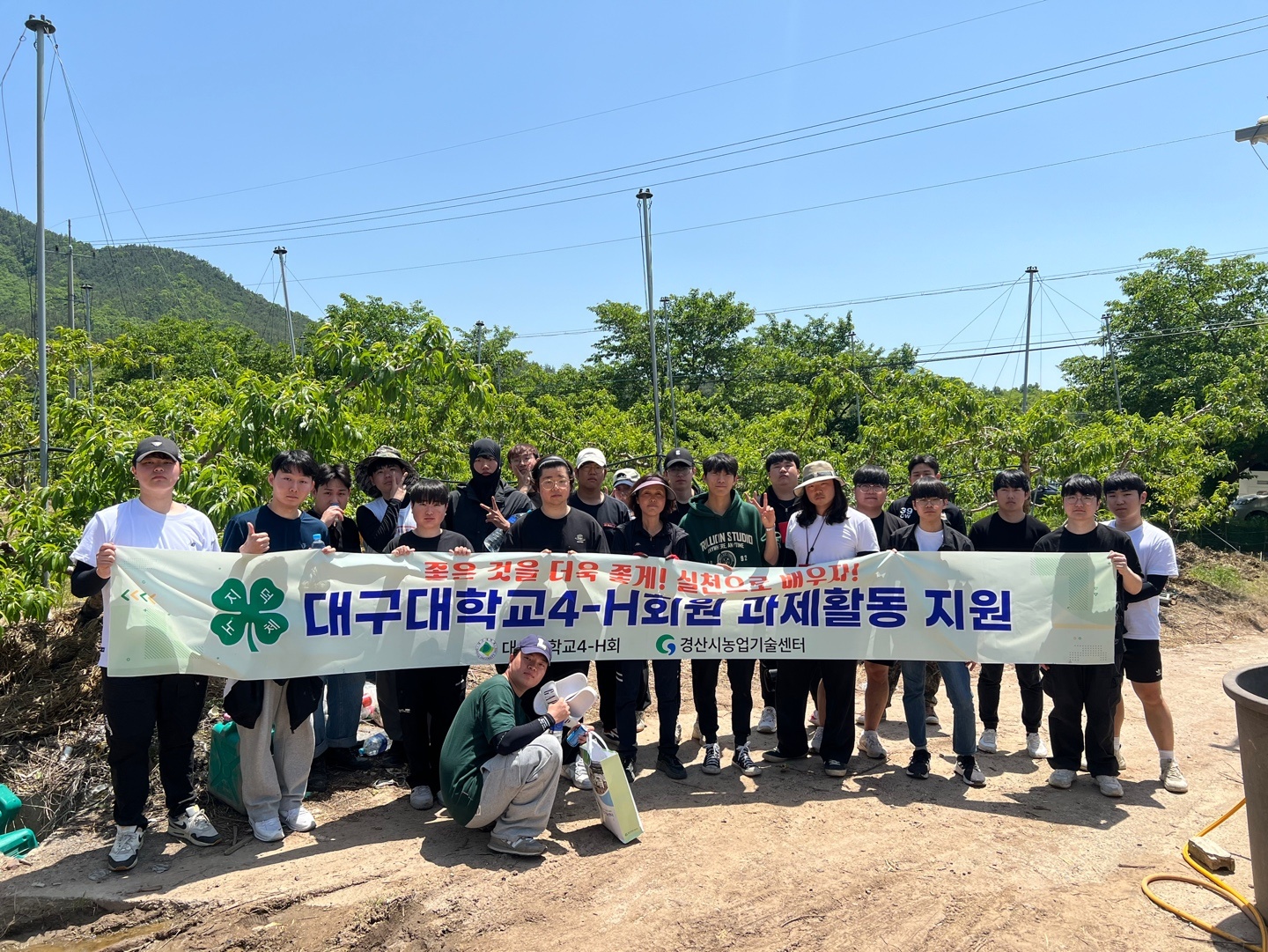 4H 이미지